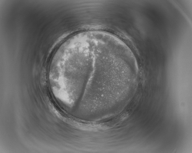 X0000080680012200701051046