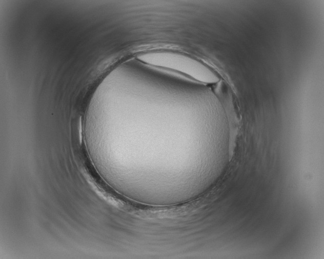 X0000080680013200701051046