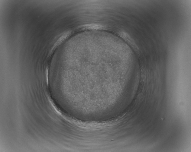 X0000080680014200701051046