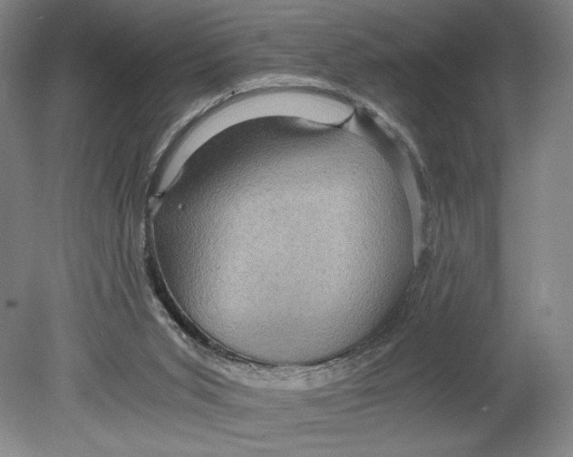 X0000080680015200701051046