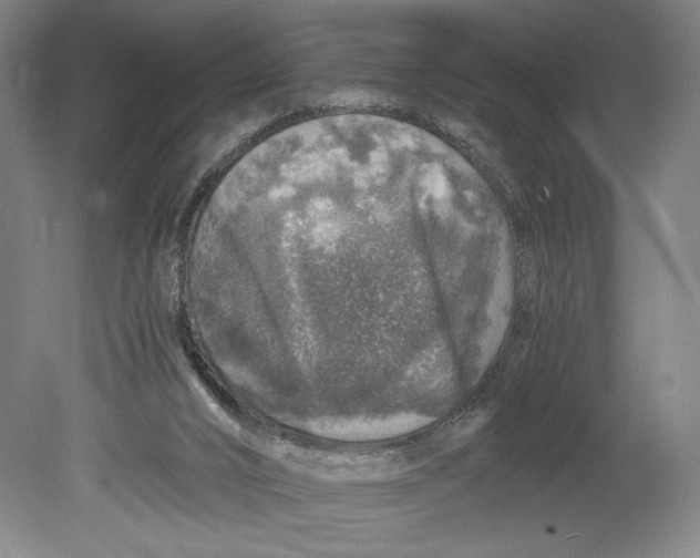 X0000080680016200701051046