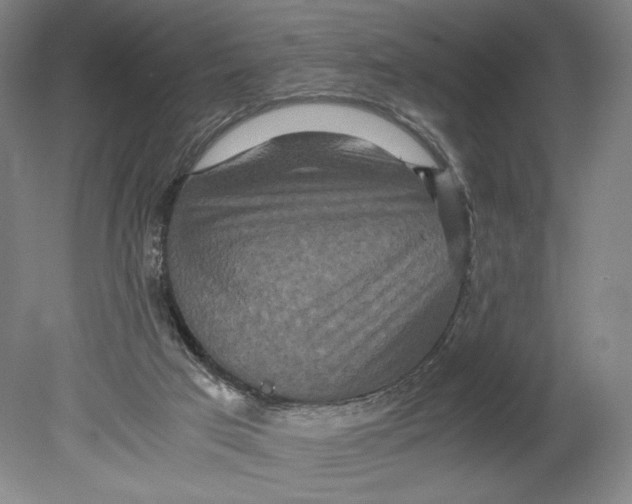 X0000080680017200701051046