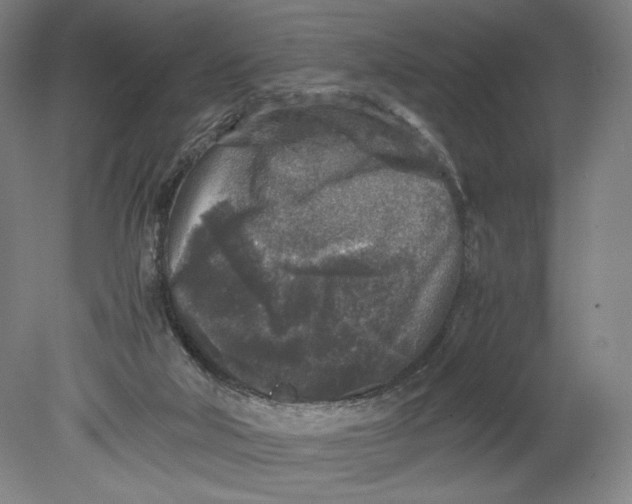 X0000080680018200701051046