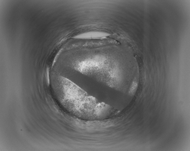 X0000080680022200701051046