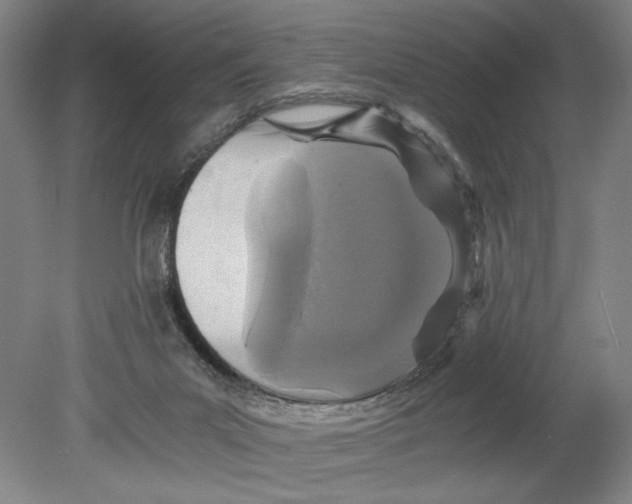 X0000080680023200701051046