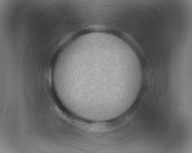 X0000080680024200701051046