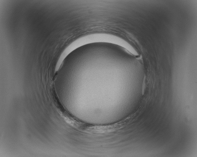 X0000080680025200701051046