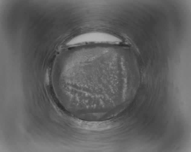 X0000080680026200701051046