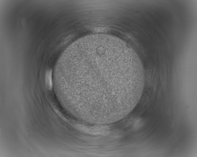 X0000080680028200701051046