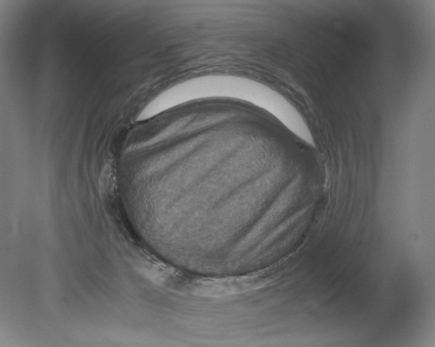 X0000080680029200701051046