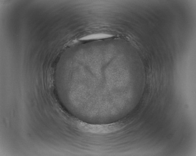 X0000080680030200701051046