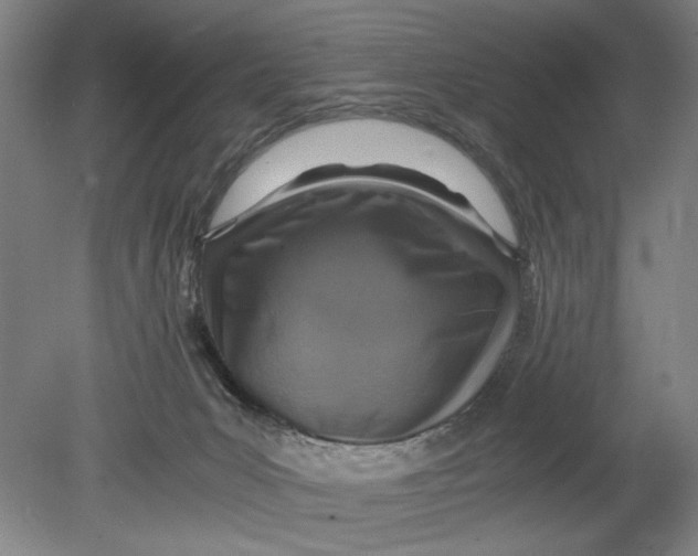 X0000080680031200701051046