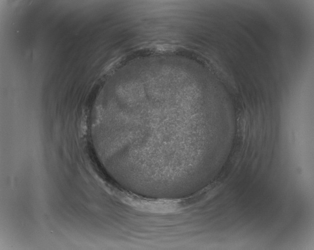 X0000080680032200701051046