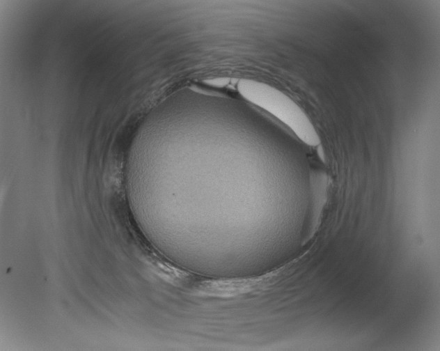 X0000080680033200701051046