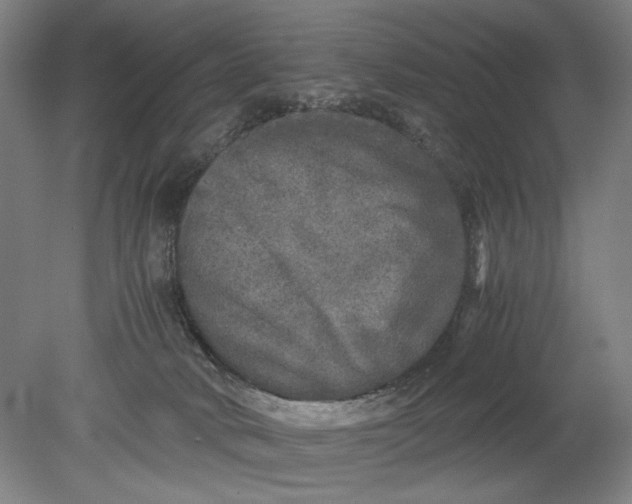 X0000080680034200701051046