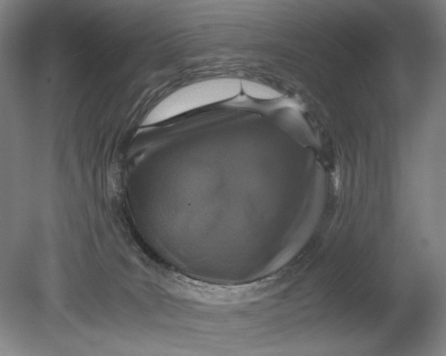 X0000080680035200701051045