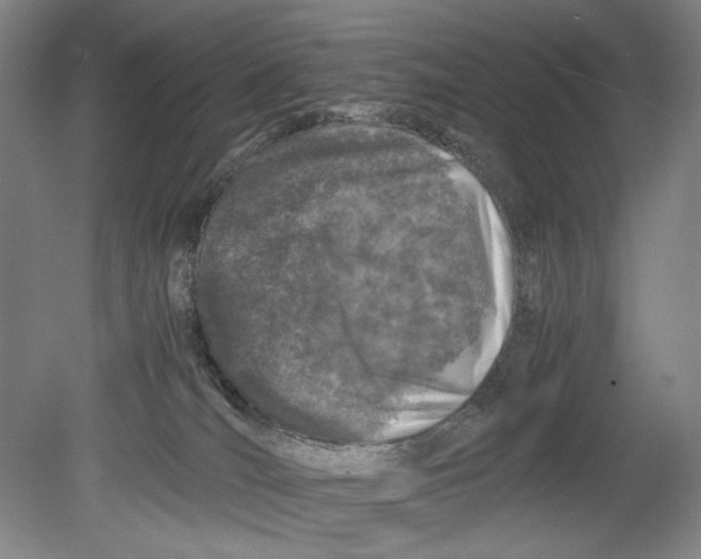 X0000080680036200701051045