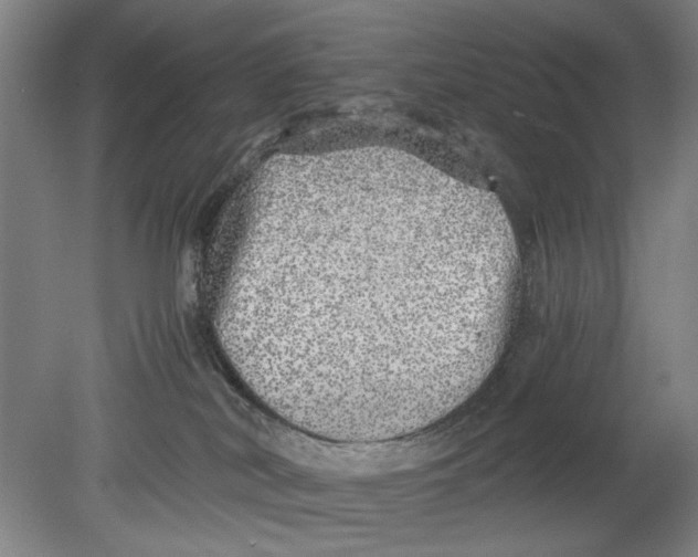 X0000080680038200701051045