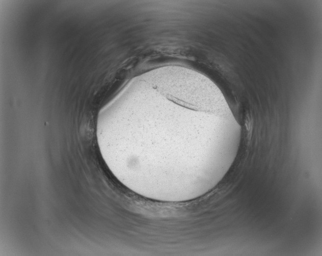 X0000080680040200701051045