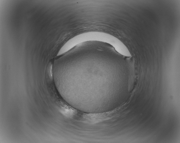 X0000080680041200701051045