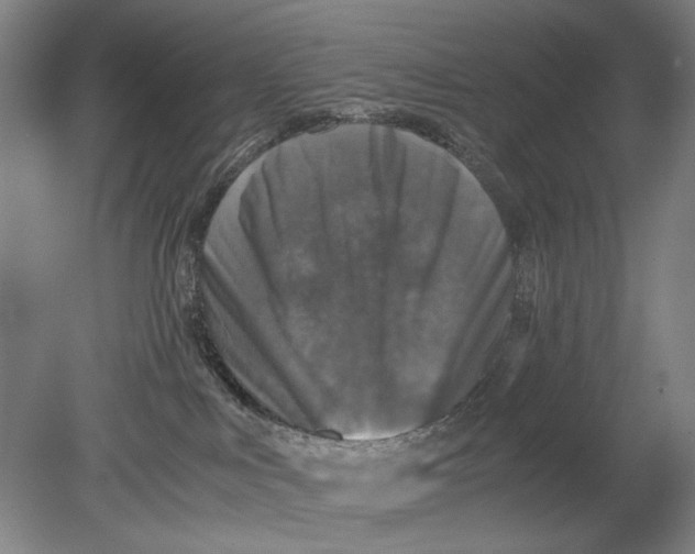 X0000080680043200701051045