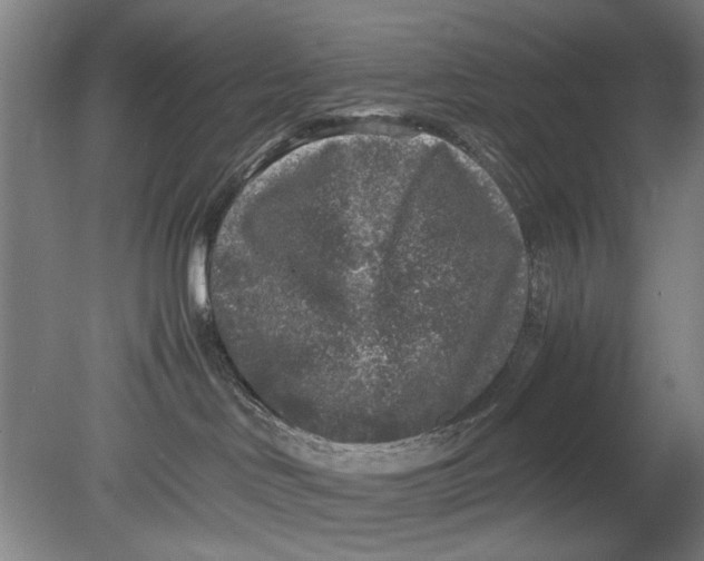 X0000080680046200701051045