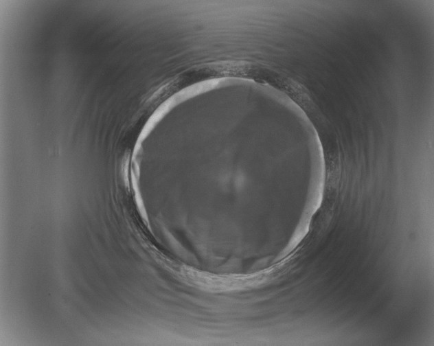 X0000080680047200701051045