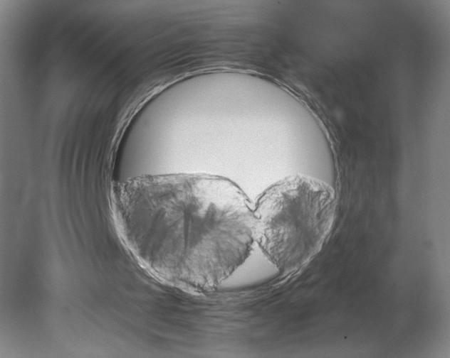 X0000080680049200701051044