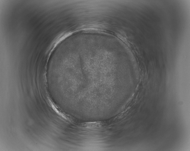 X0000080680050200701051044