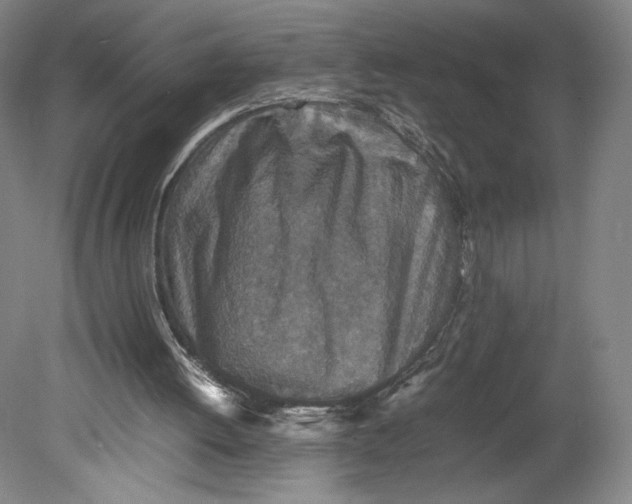 X0000080680052200701051045