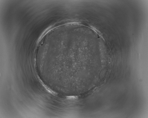 X0000080680053200701051045