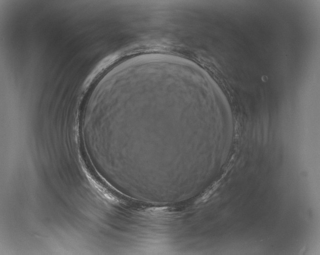 X0000080680054200701051045