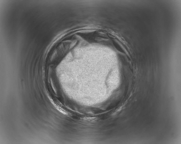 X0000080680055200701051045