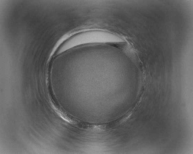 X0000080680056200701051045