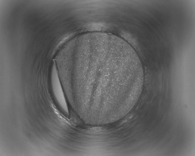 X0000080680058200701051045