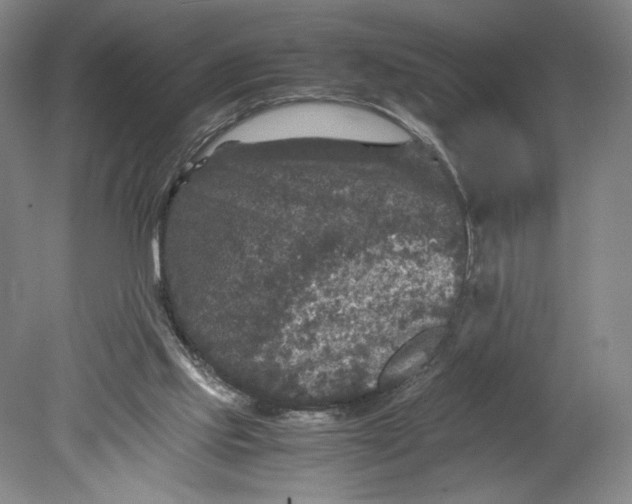 X0000080680061200701051045