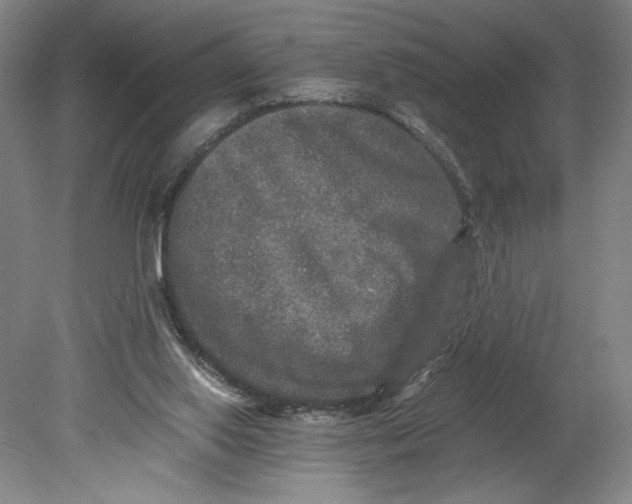 X0000080680062200701051045