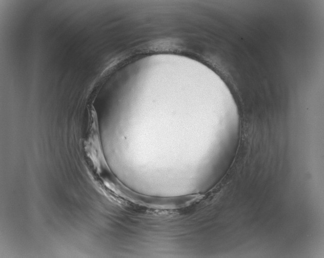 X0000080680063200701051045