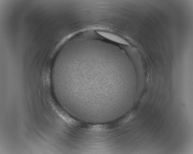 X0000080680064200701051045