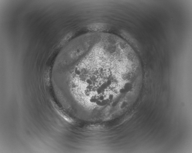 X0000080680065200701051045