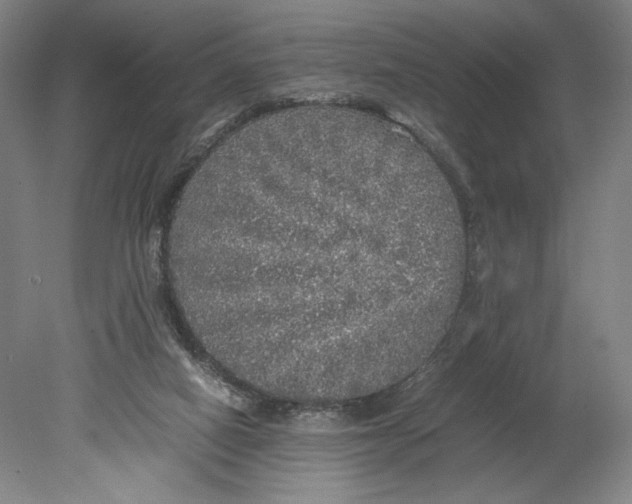 X0000080680066200701051045