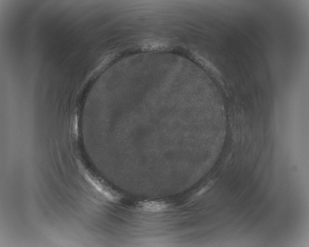 X0000080680067200701051045