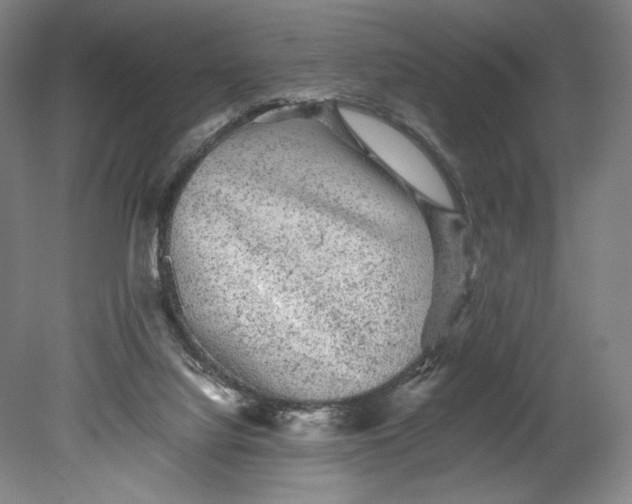 X0000080680068200701051045