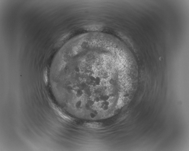 X0000080680069200701051045