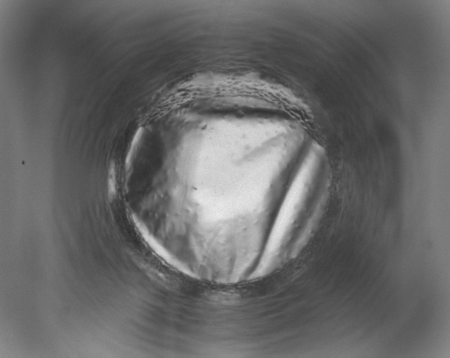 X0000080680075200701051045