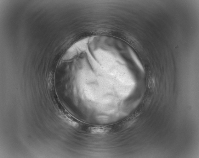 X0000080680077200701051045