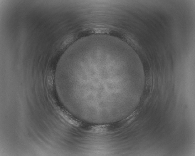 X0000080680078200701051045