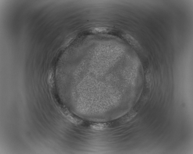 X0000080680079200701051045