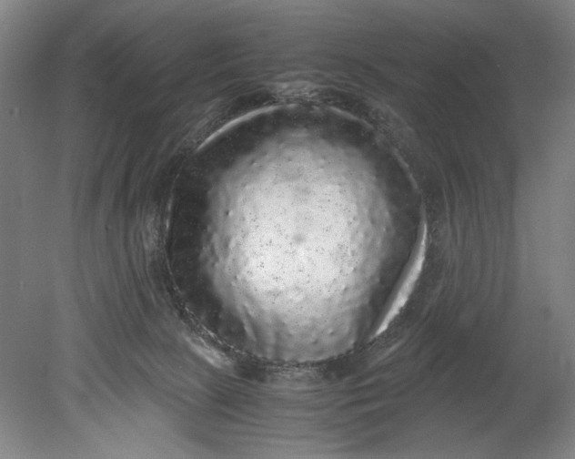 X0000080680081200701051045