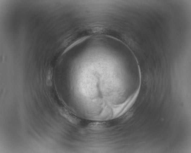 X0000080680082200701051045